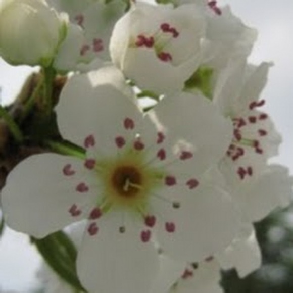 Meet your Posher, Vania - Picture 1 of 1